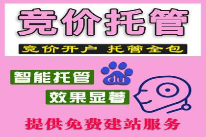 某企业sem竞价托管全流程解析及效果评估